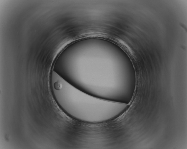 X0000094961182200711291121
