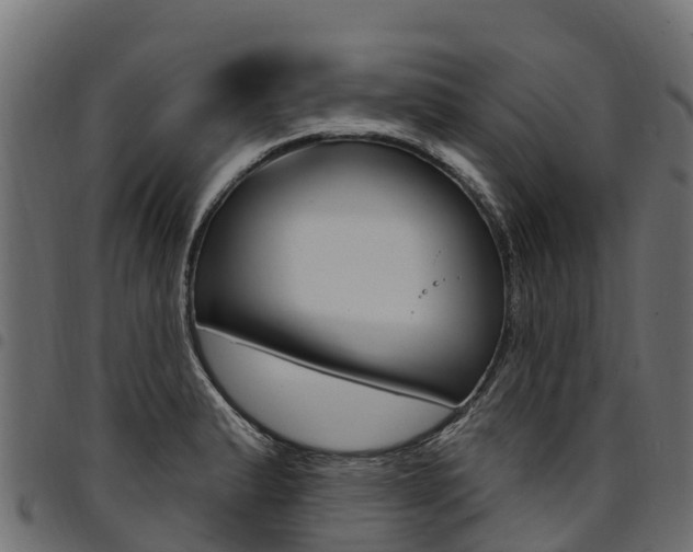 X0000094961183200711291121