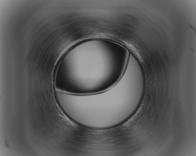 X0000094961184200711291121
