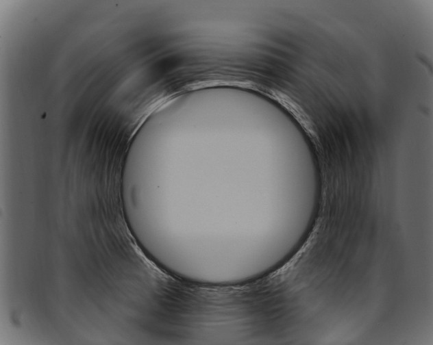 X0000094961185200711291121