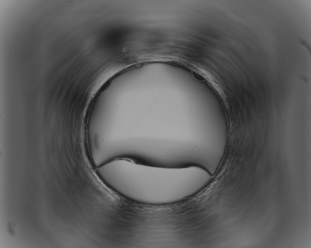 X0000094961187200711291120