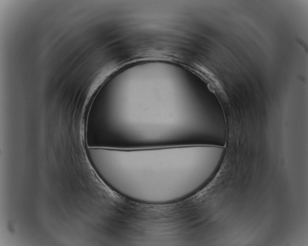 X0000094961188200711291120