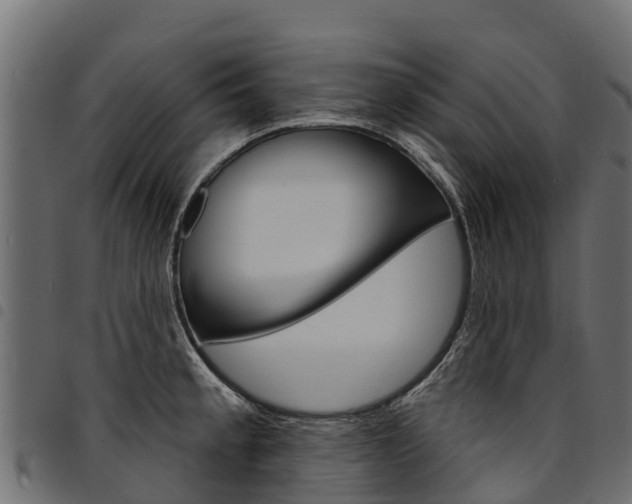 X0000094961189200711291120