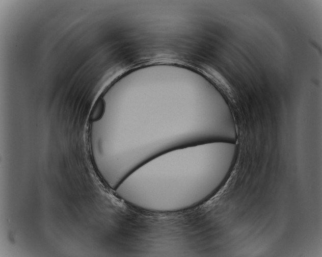 X0000094961190200711291120