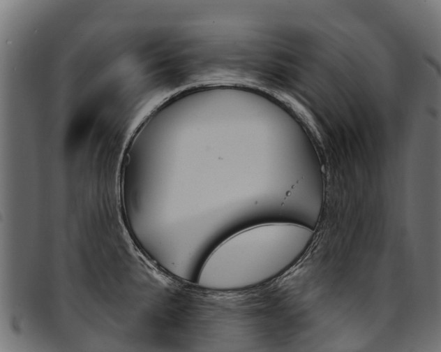 X0000094961191200711291120