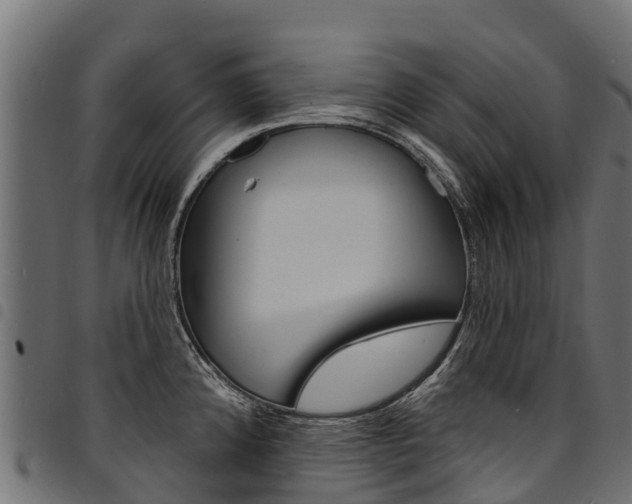 X0000094961192200711291120