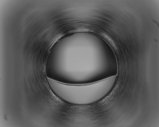 X0000094961193200711291120