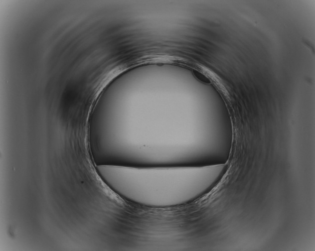 X0000094961194200711291120