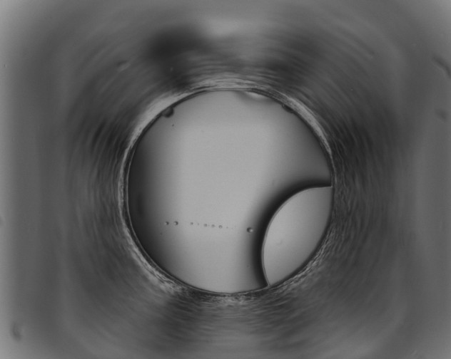 X0000094961195200711291120