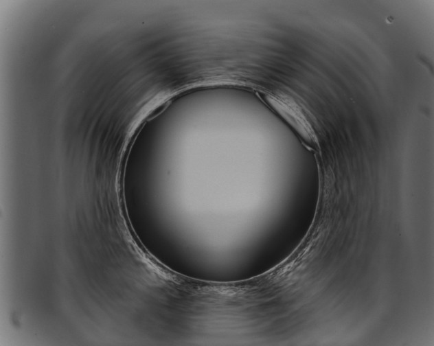 X0000094961197200711291120