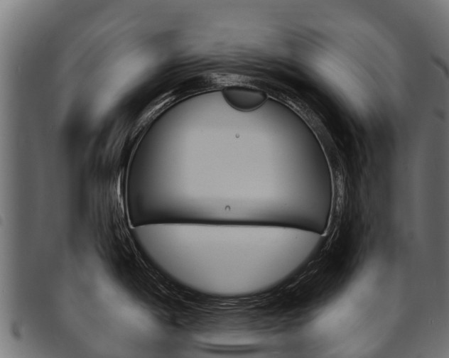 X0000094961198200711291120
