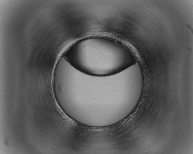 X0000094961199200711291120