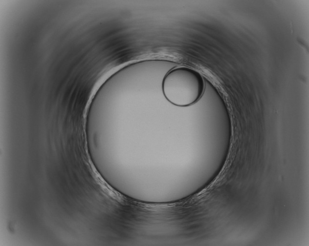 X0000094961200200711291120