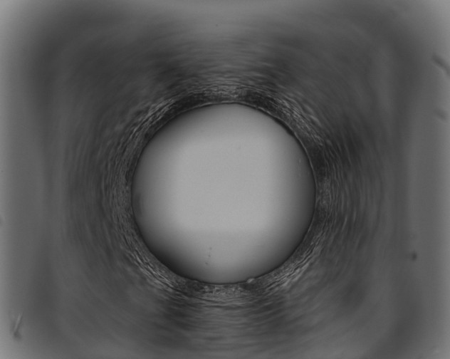 X0000094961201200711291120