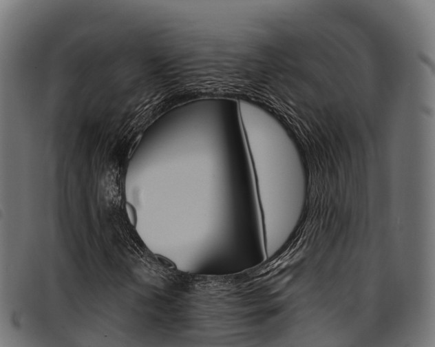 X0000094961202200711291120