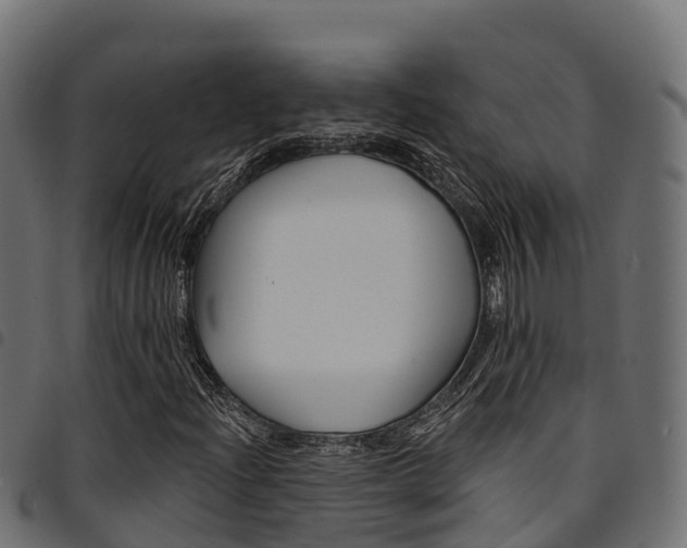 X0000094961204200711291120