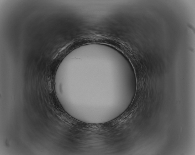 X0000094961205200711291120