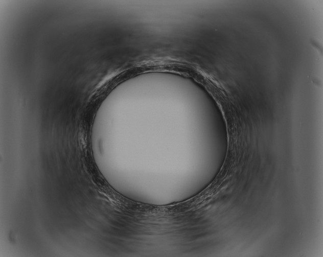 X0000094961206200711291120