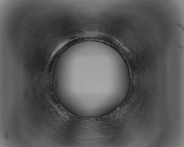 X0000094961208200711291120