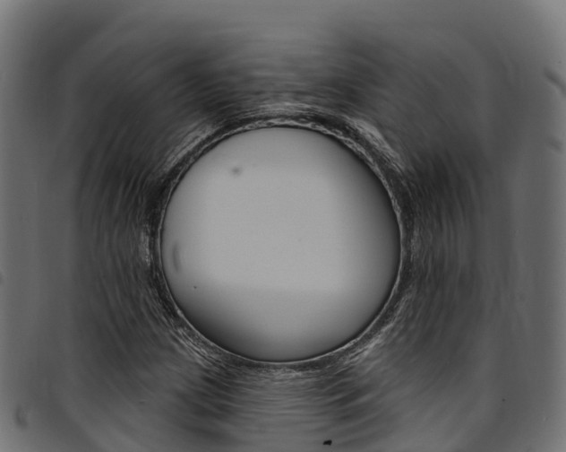 X0000094961209200711291120