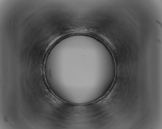 X0000094961212200711291120