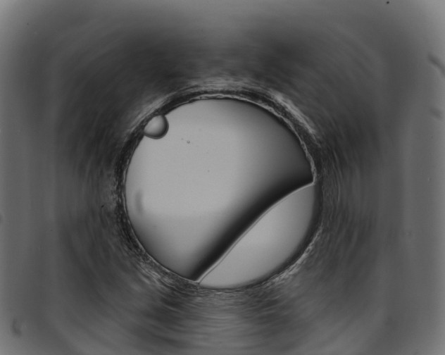X0000094961213200711291120