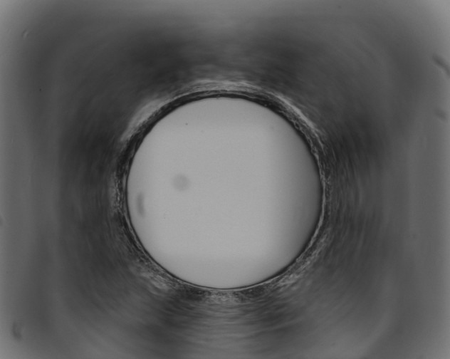 X0000094961215200711291120