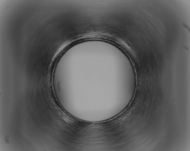 X0000094961216200711291120