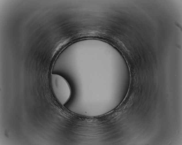 X0000094961218200711291120