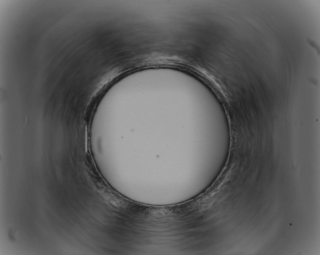 X0000094961219200711291120
