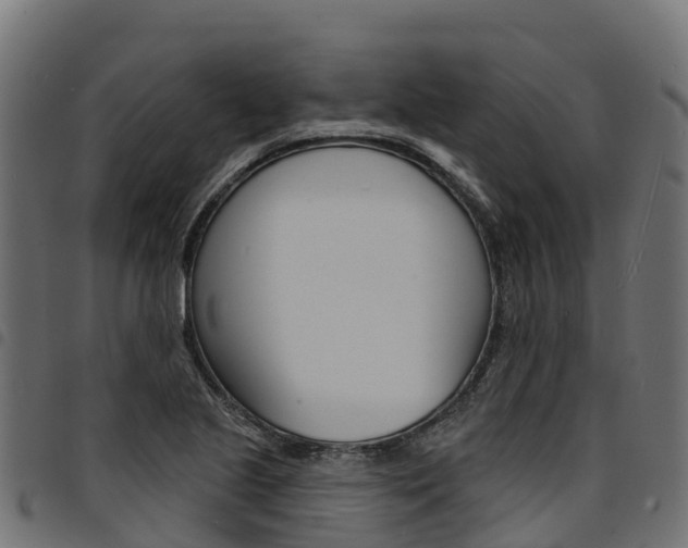 X0000094961221200711291120