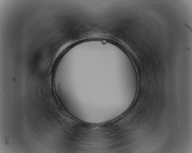 X0000094961222200711291120