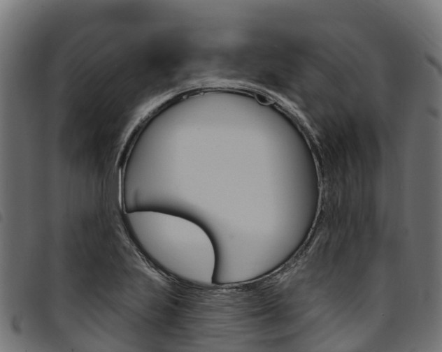 X0000094961223200711291120