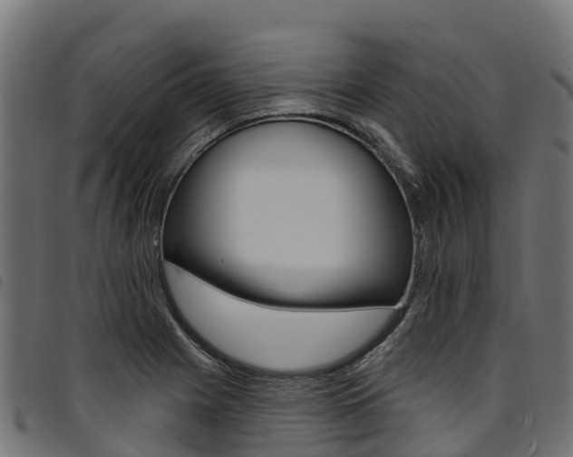 X0000094961225200711291120
