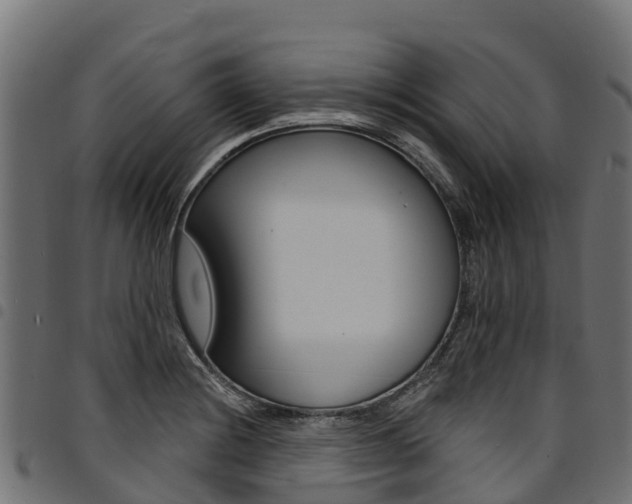 X0000094961228200711291120
