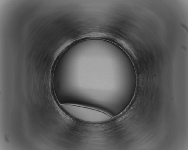 X0000094961229200711291120
