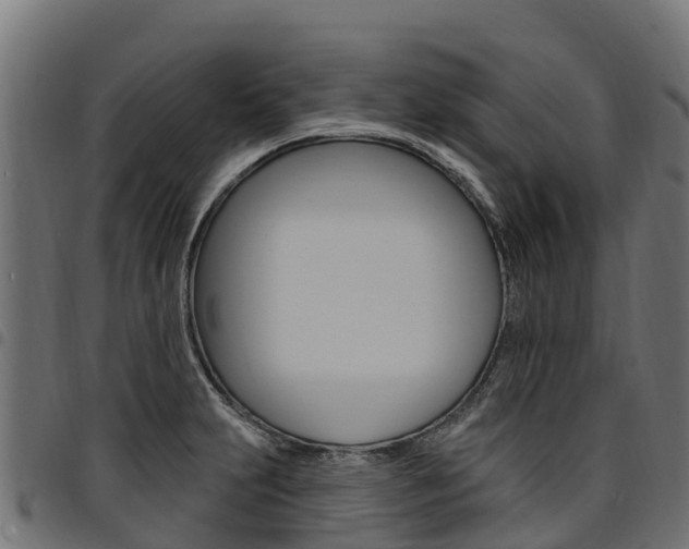 X0000094961231200711291120
