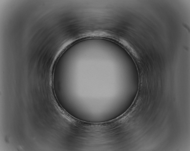 X0000094961232200711291120