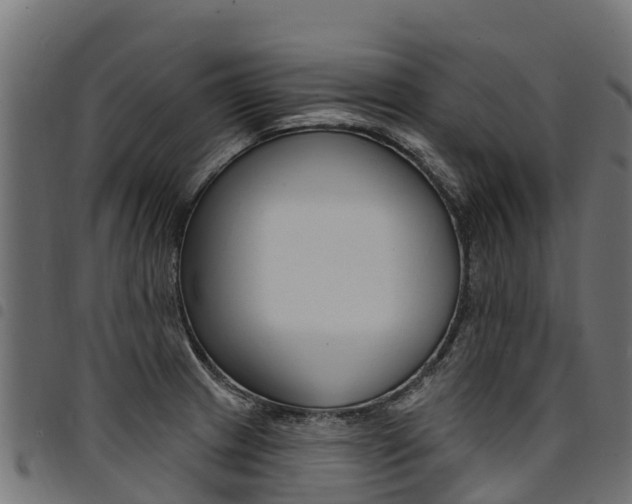 X0000094961233200711291120