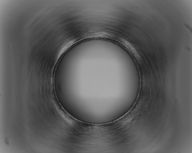 X0000094961234200711291120