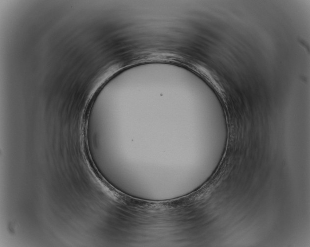 X0000094961235200711291120