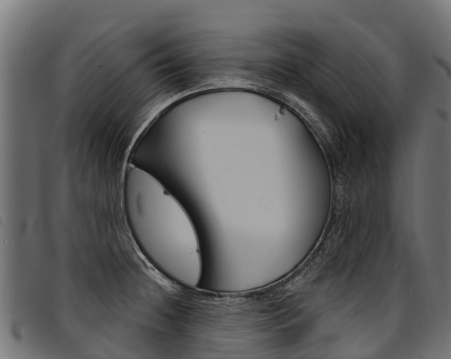 X0000094961236200711291120