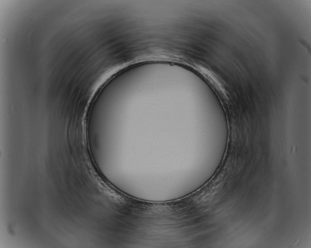 X0000094961238200711291120
