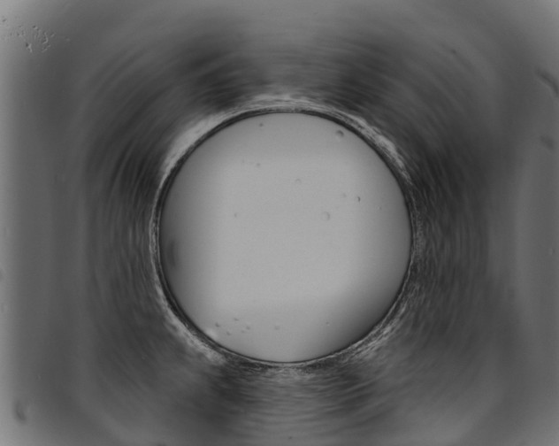X0000094961239200711291120