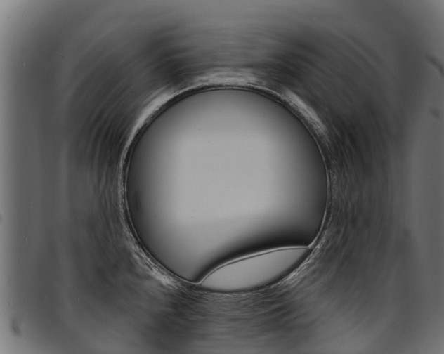 X0000094961240200711291120