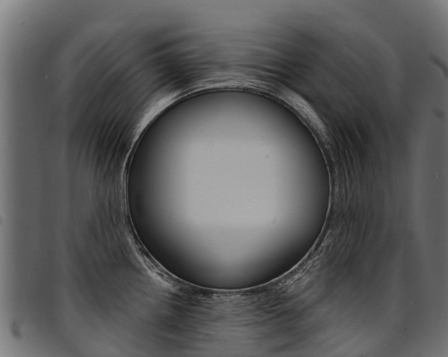 X0000094961242200711291120