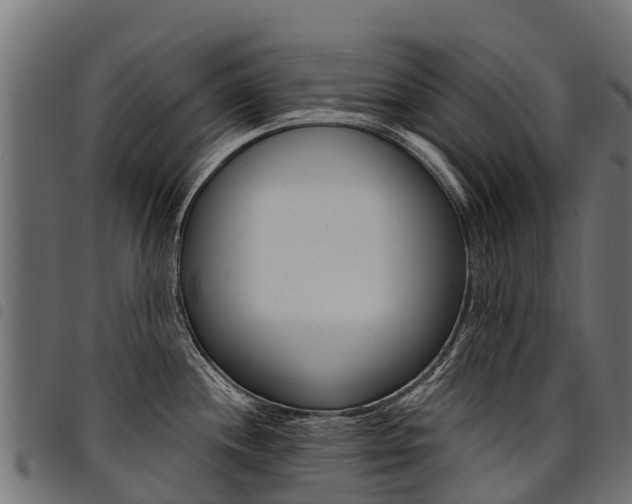 X0000094961244200711291120