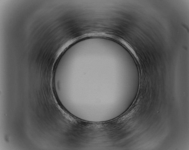 X0000094961245200711291120