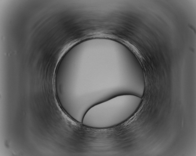 X0000094961247200711291120