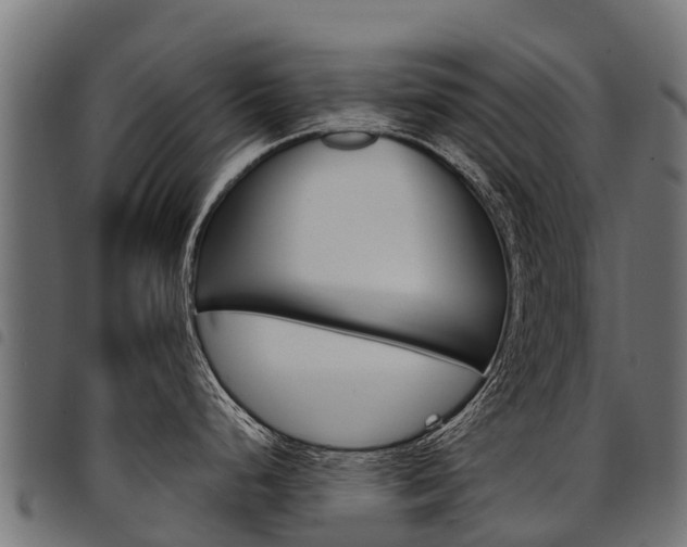 X0000094961248200711291120